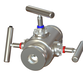 Chemical Injection Valve w/ Double Hub