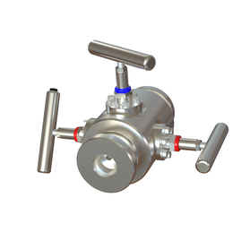Chemical Injection Valve w/ Double Hub