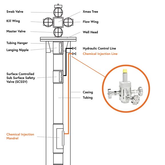 Chemical injection valve - long