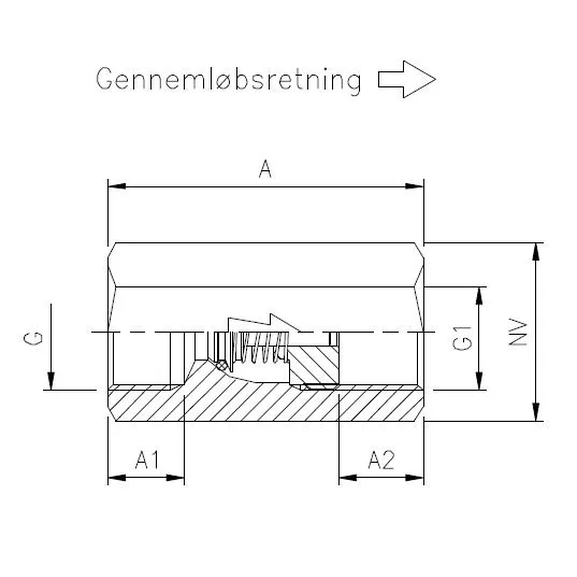 1020103BRS Stainless Steel Check  valve