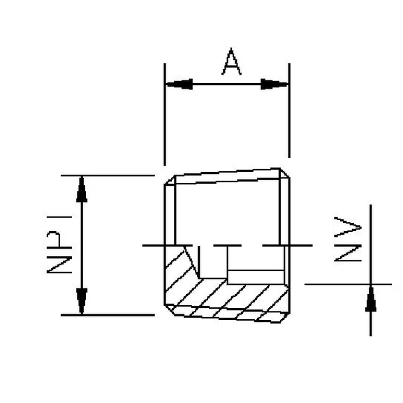 107B Plug wth NPT thread
