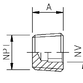 107B Plug wth NPT thread