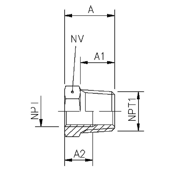 110B Reducer with NPT thread
