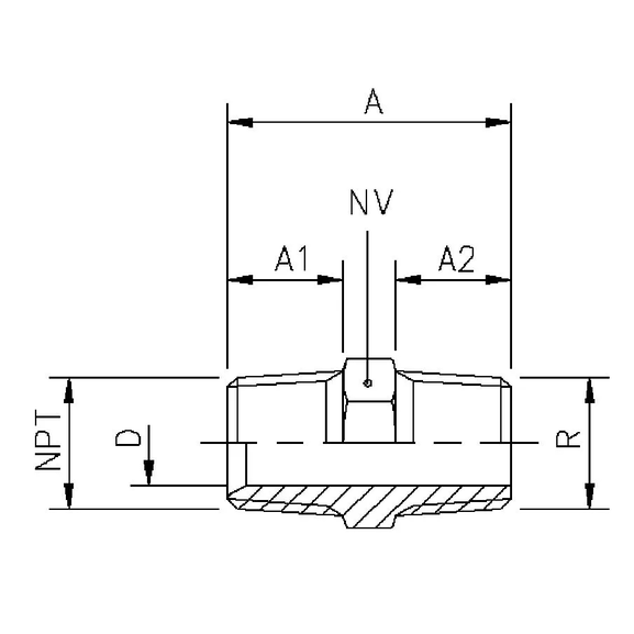 206B Nipple with NPT thread with female chamfer and pipe thread