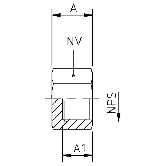 398B End cap with NPT thread