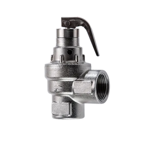 43 2217 Safety valves for steam