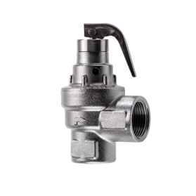 43 2217 Safety valves for steam