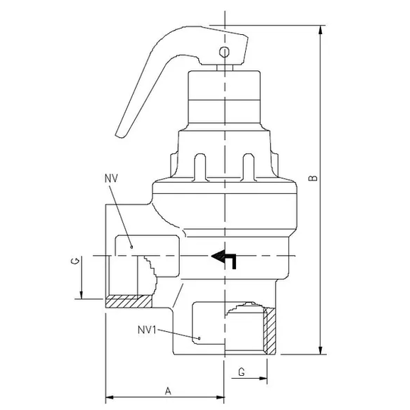 43 2217 Safety valves for steam