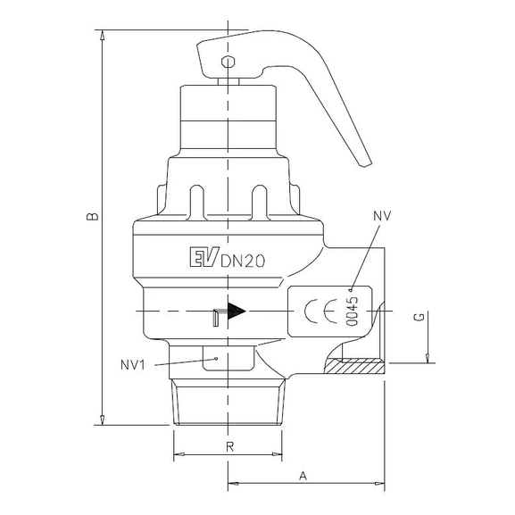 43 2218 Safety valves for steam m/f