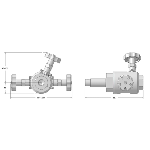 Chemical injection valve - long