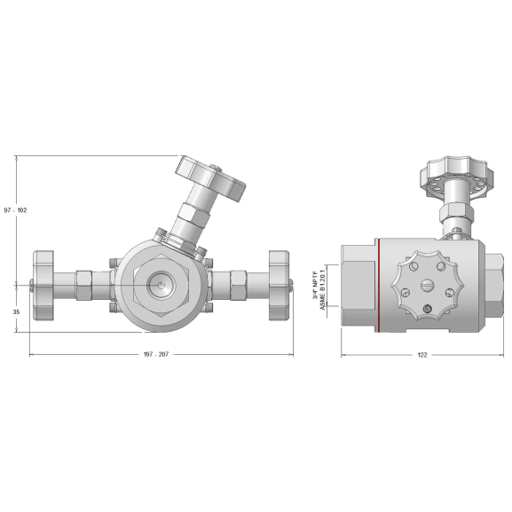 Chemical injection valve - short