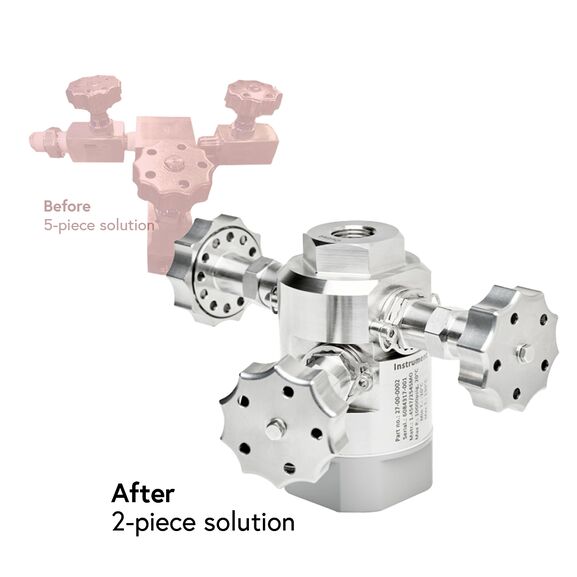 Chemical injection valve - short