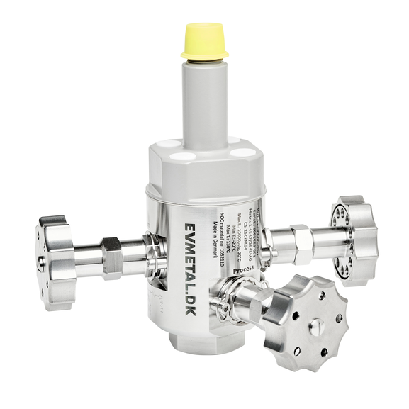 Chemical injection valve - long