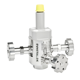 Chemical injection valve - long