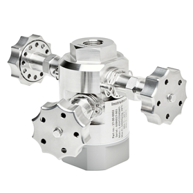 Chemical injection valve - short