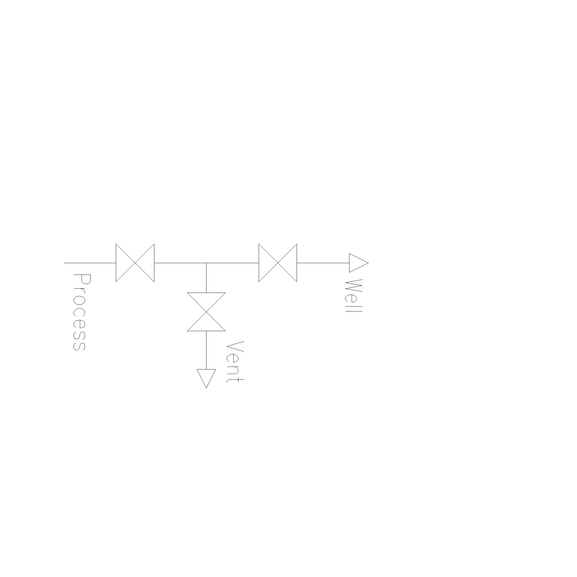 Chemical injection valve - long
